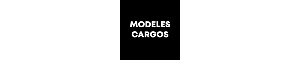 Vélo Cargo
