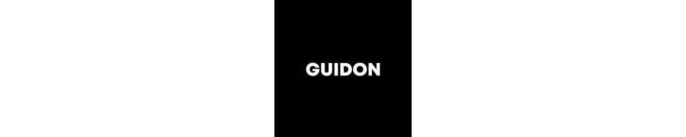 Guidon